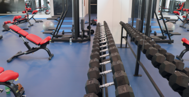 invictus fitness