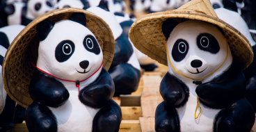 panda header